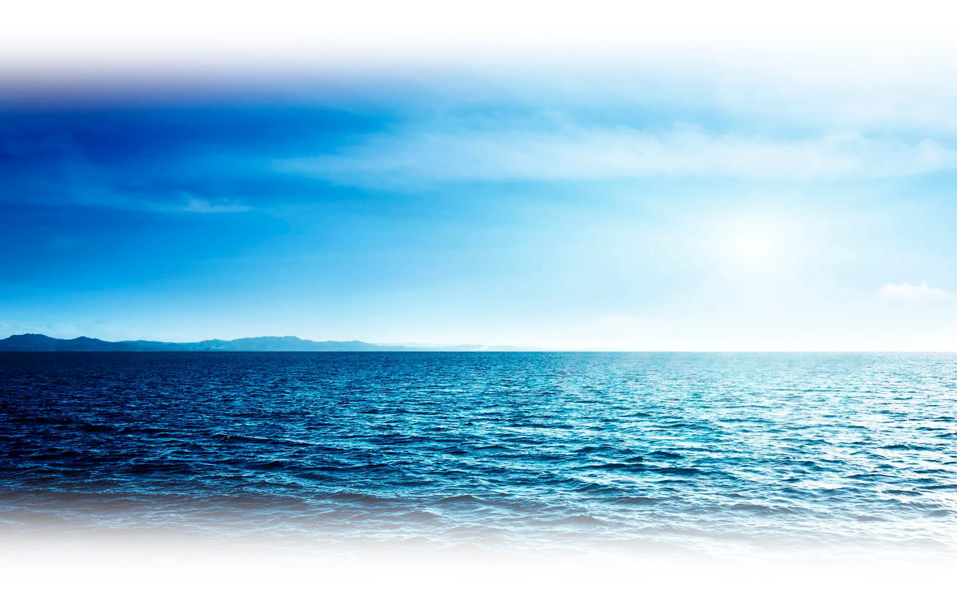 Experience and high standards, a guarantee of excellence